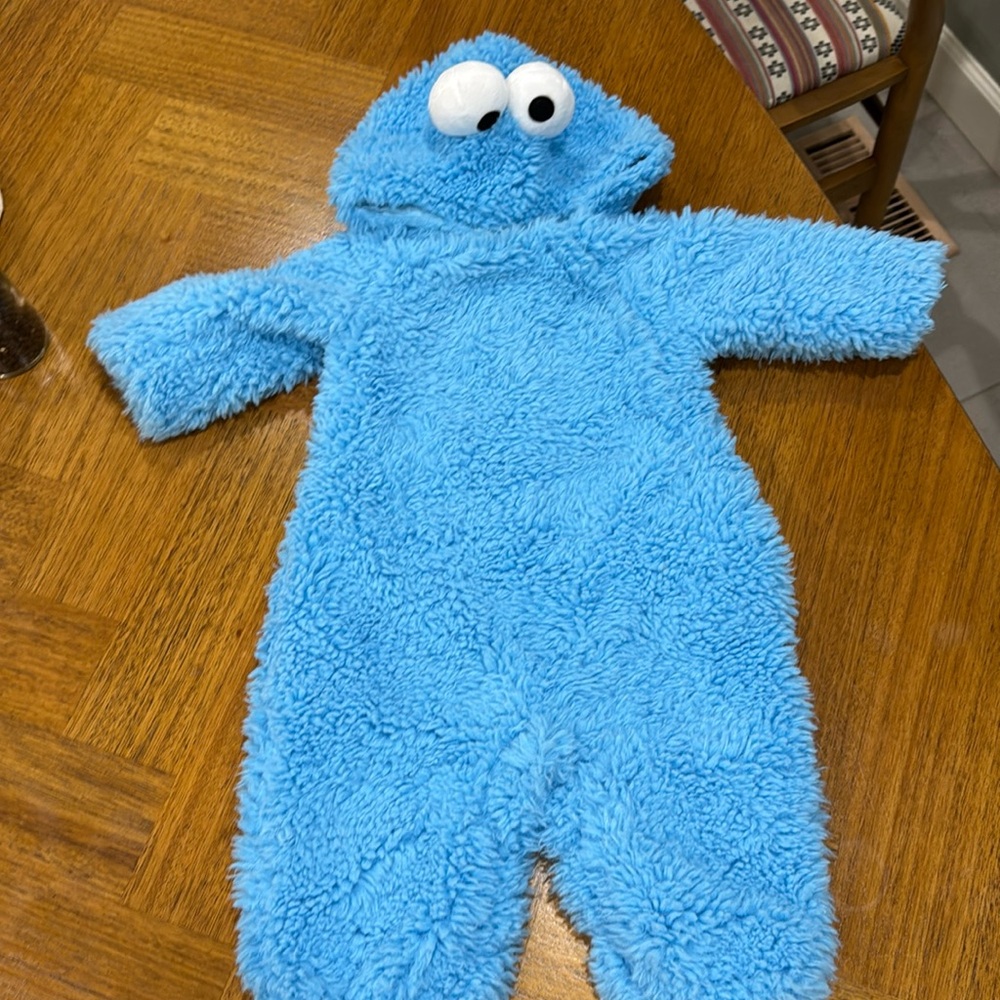 Pottery Barn Cookie Monster Costume